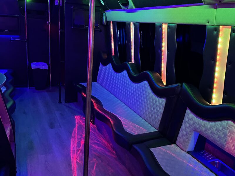 Black 26 passenger party Bus